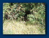 The approach to Station A